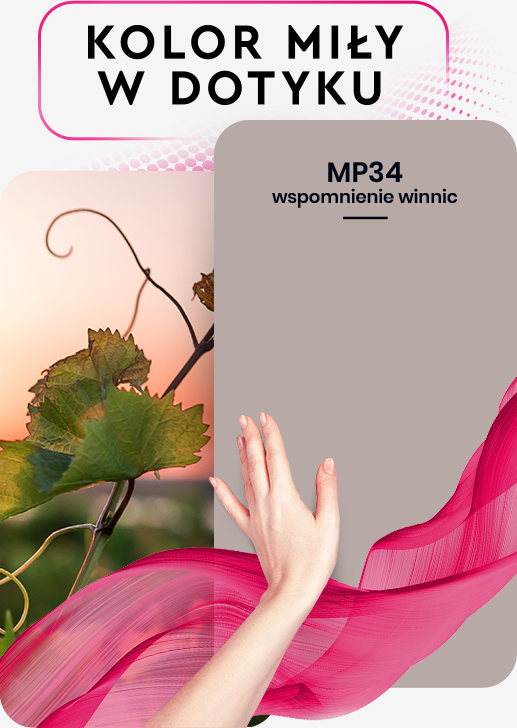 MAGNAT Passion MP34 wspomn winnicy 2,5L