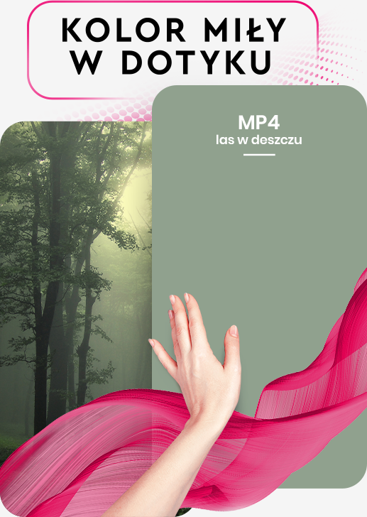 MAGNAT Passion MP4 las w deszczu 2,5L