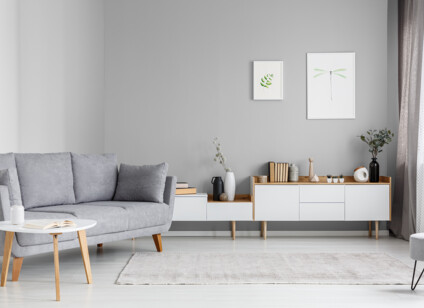 207008810-salon-szara-sofa-C29