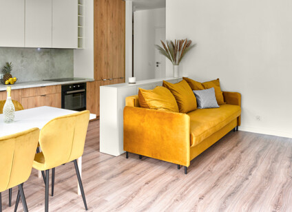 579162286_salon-z-kuchnia_C58