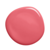 s1070-r