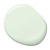 s0510-g20y