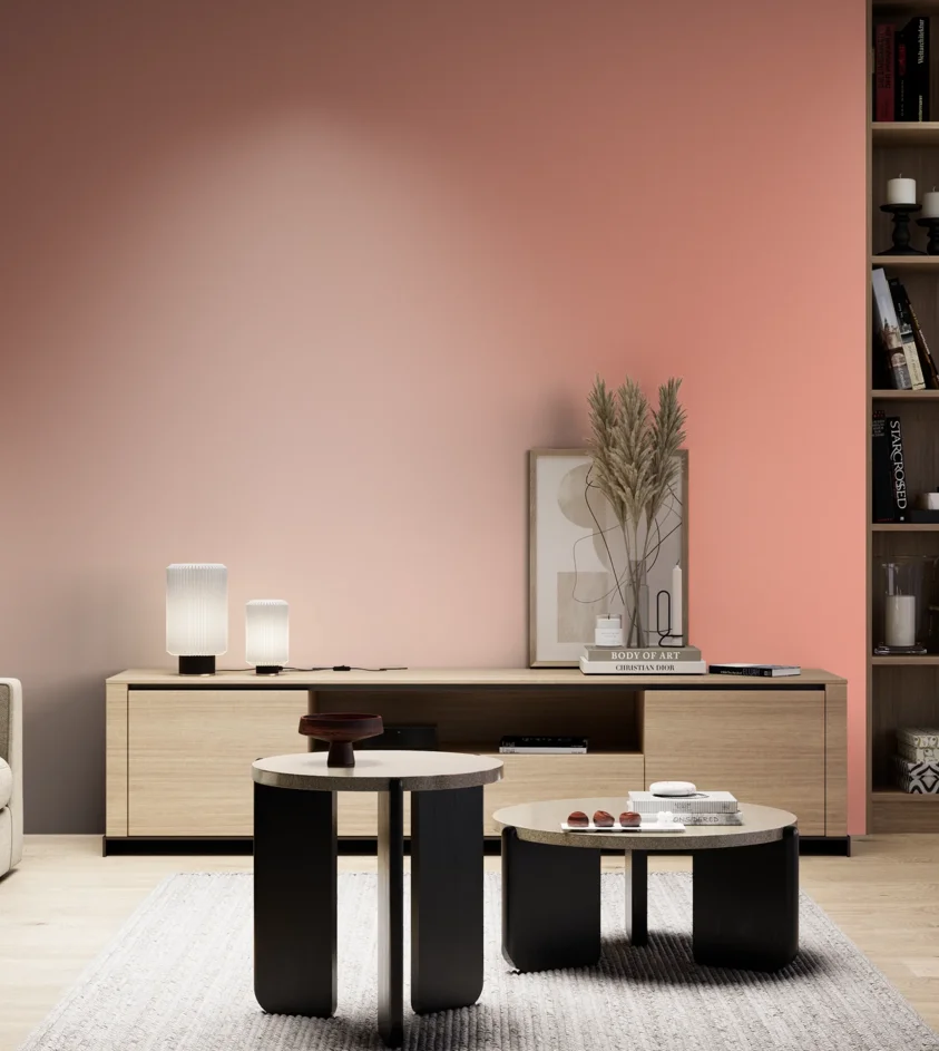P10_SNIEZKA_salon_05_zimne_GREY_S0540-Y80R