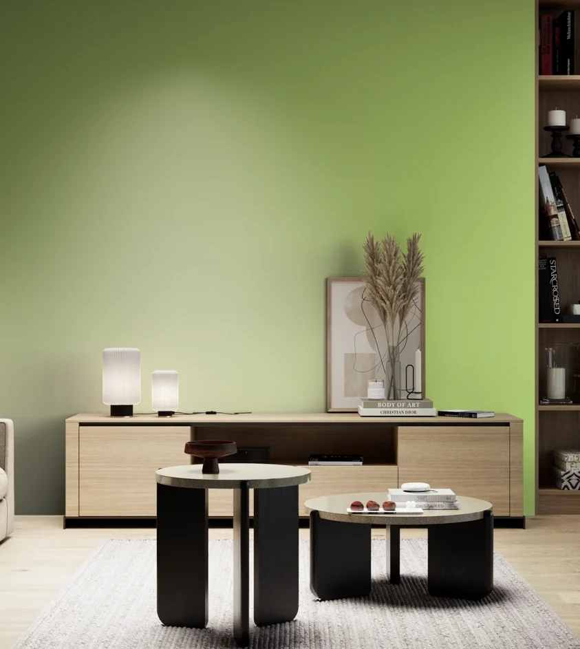 P10_SNIEZKA_salon_05_zimne_GREY_S0550-G40Y