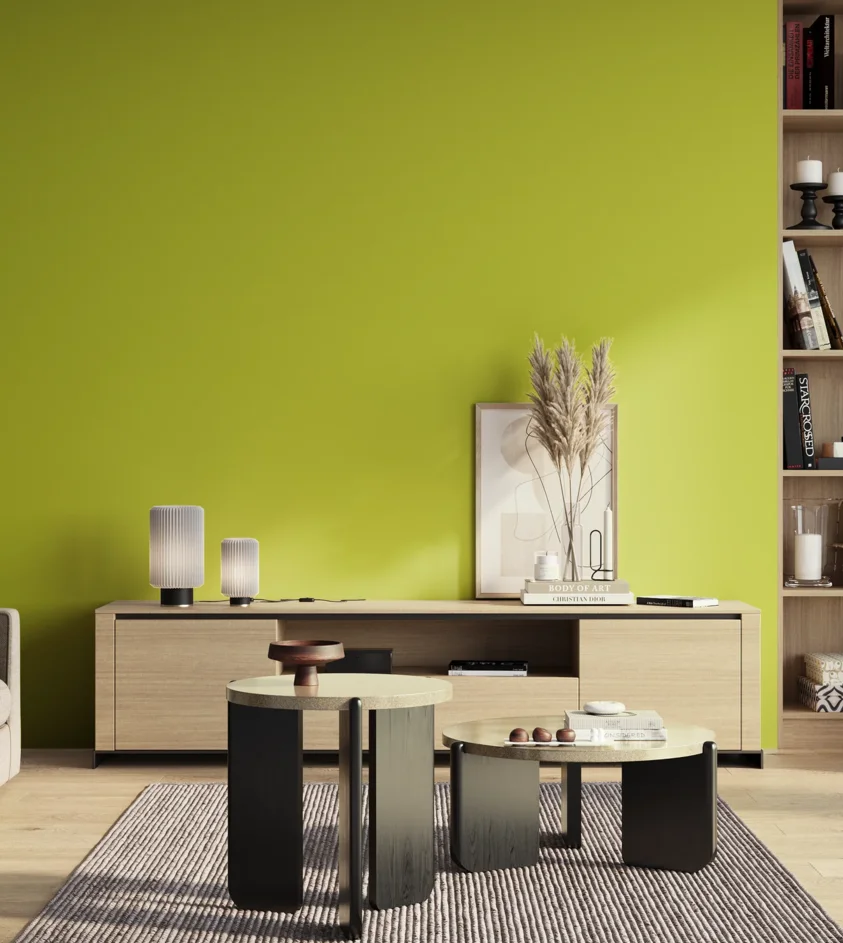 P10_SNIEZKA_salon_01_poranek_GREY_S0570-G60Y