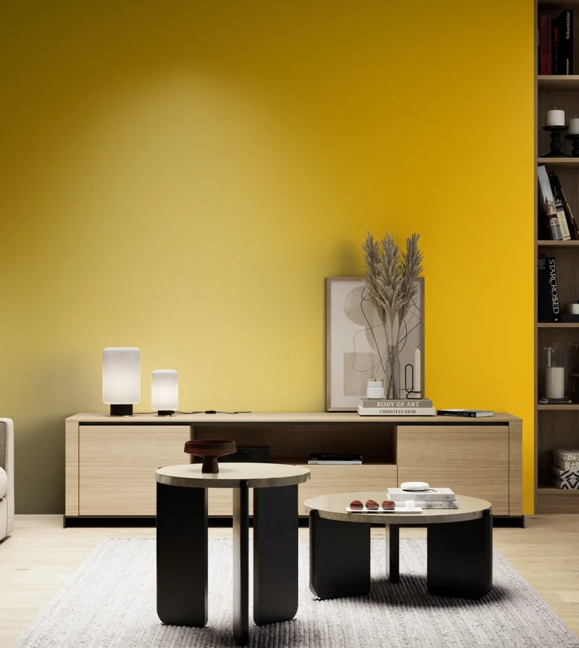 P10_SNIEZKA_salon_05_zimne_GREY_S0580-Y10R