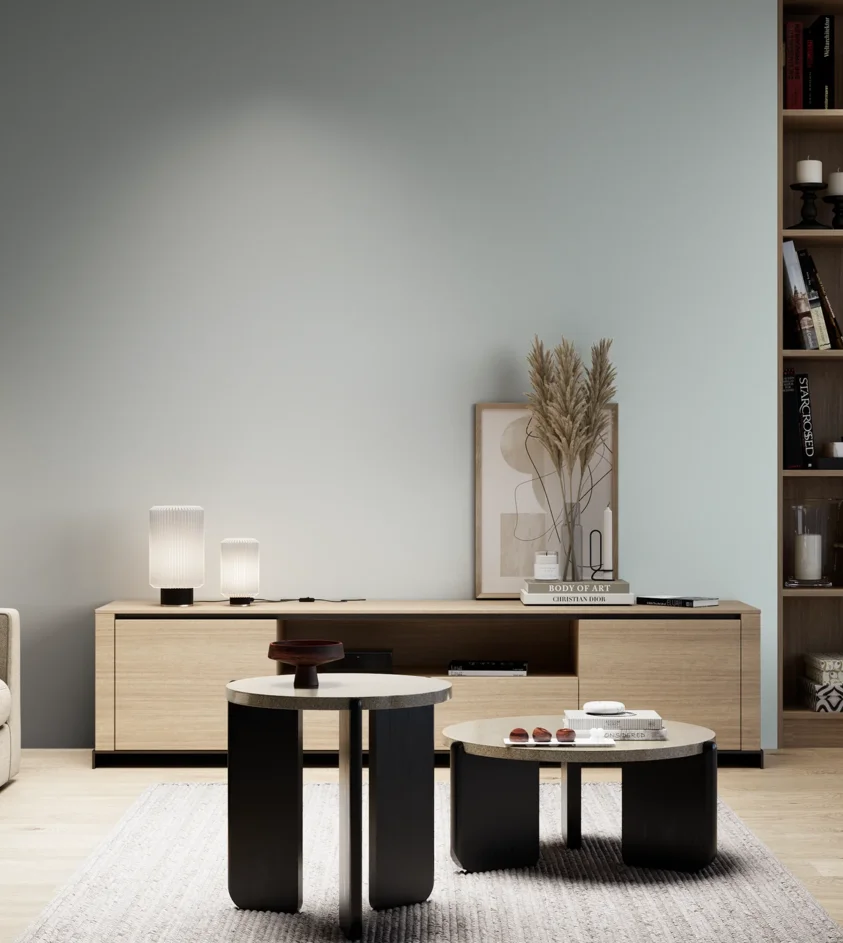 P10_SNIEZKA_salon_05_zimne_GREY_S1005-B20G