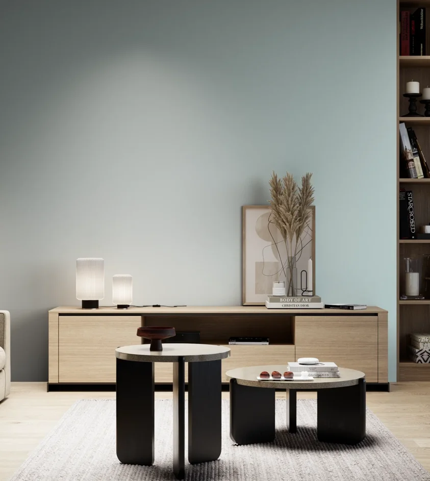 P10_SNIEZKA_salon_05_zimne_GREY_S1010-B30G