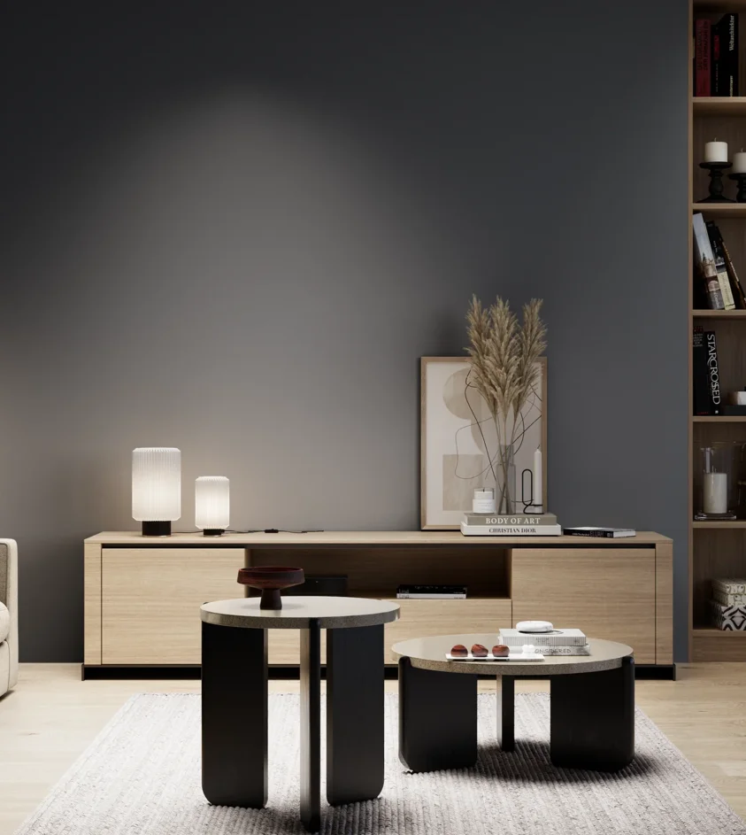 P10_SNIEZKA_salon_05_zimne_GREY_C60