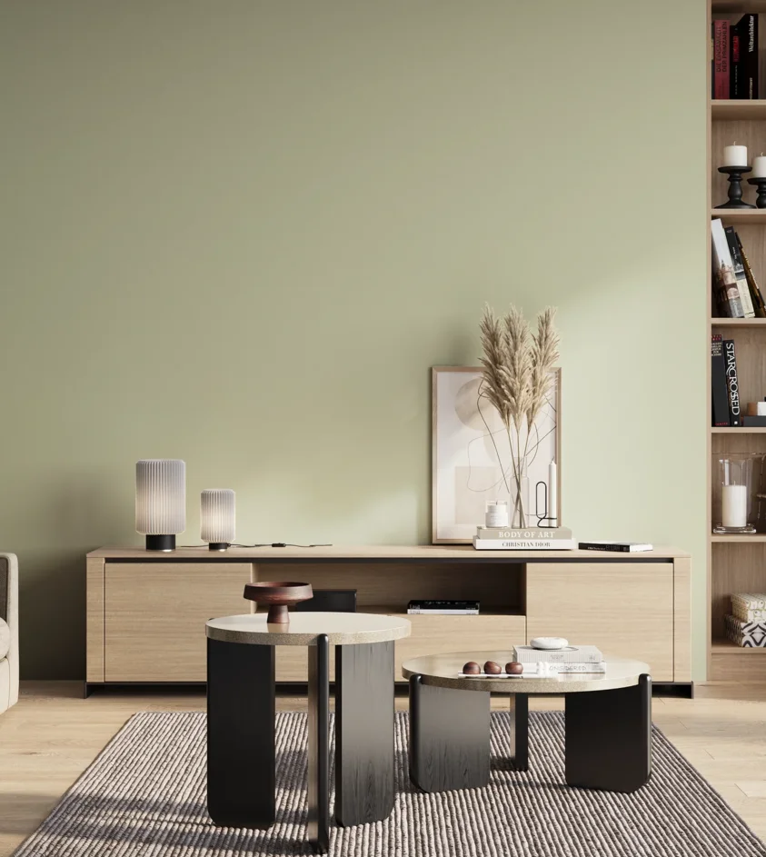 P10_SNIEZKA_salon_01_poranek_GREY_S1010-G50Y