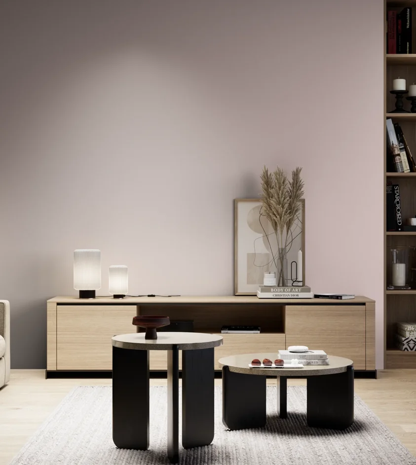 P10_SNIEZKA_salon_05_zimne_GREY_S1010-R10B