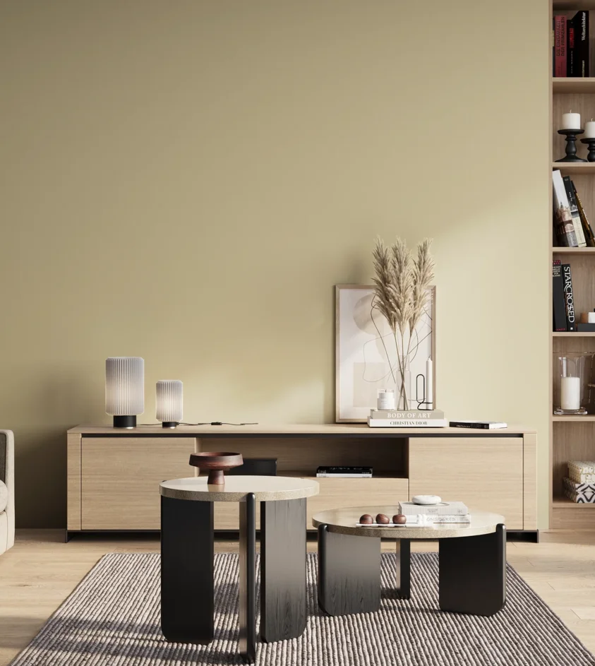 P10_SNIEZKA_salon_01_poranek_GREY_S1010-Y