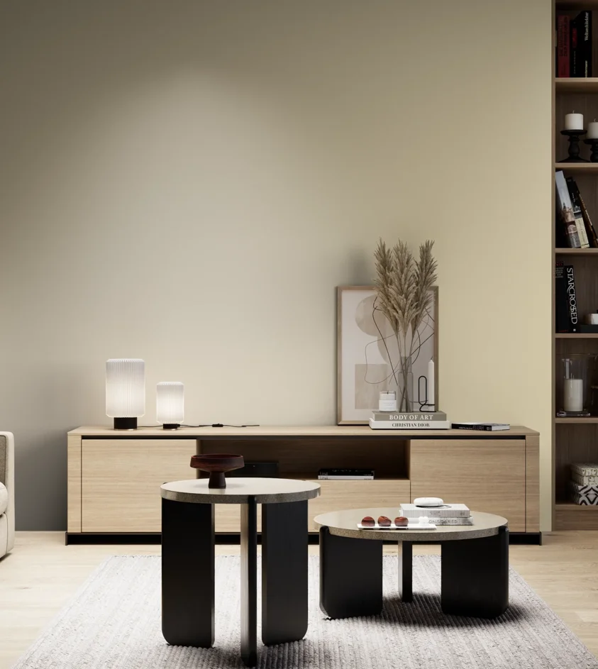 P10_SNIEZKA_salon_05_zimne_GREY_S1010-Y10R