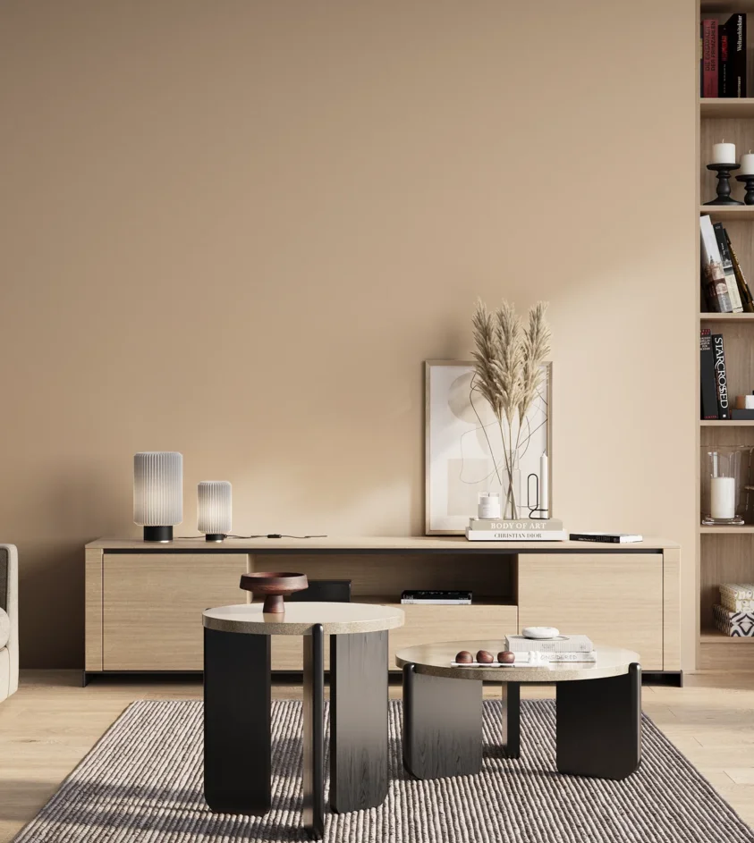 P10_SNIEZKA_salon_01_poranek_GREY_S1010-Y50R