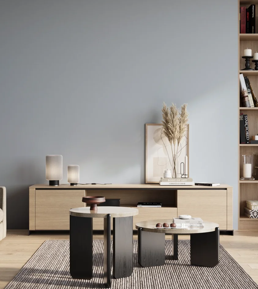 P10_SNIEZKA_salon_01_poranek_GREY_S1015-R80B