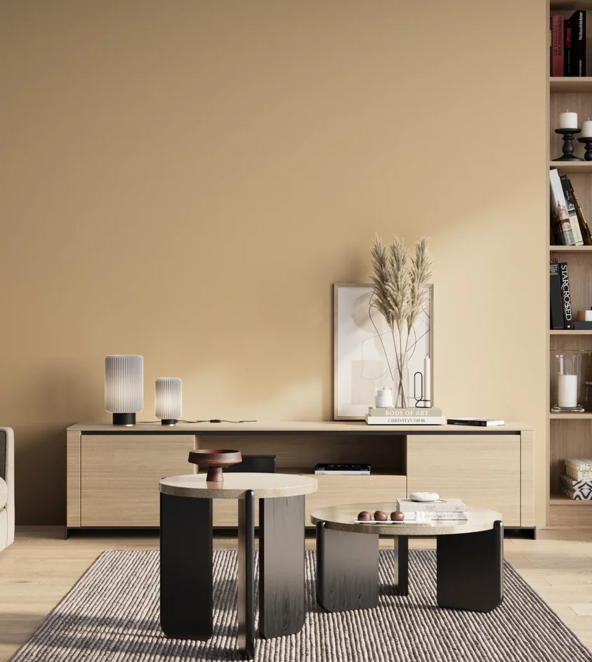 P10_SNIEZKA_salon_01_poranek_GREY_S1015-Y30R