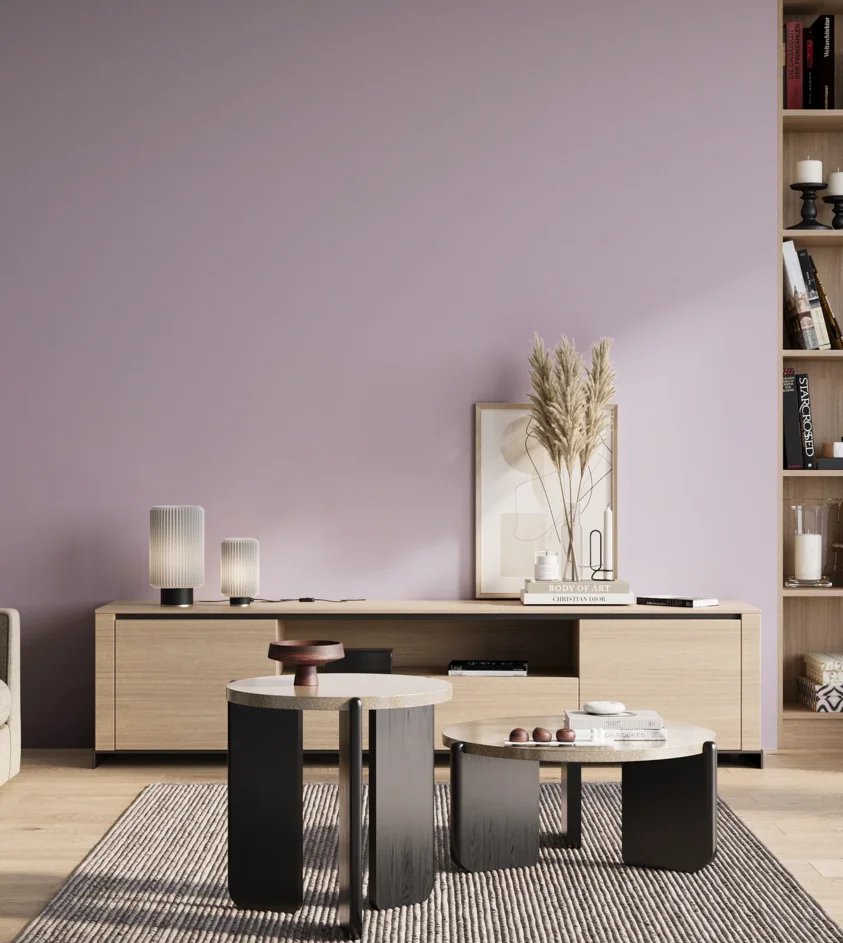 P10_SNIEZKA_salon_01_poranek_GREY_S1020-R50B