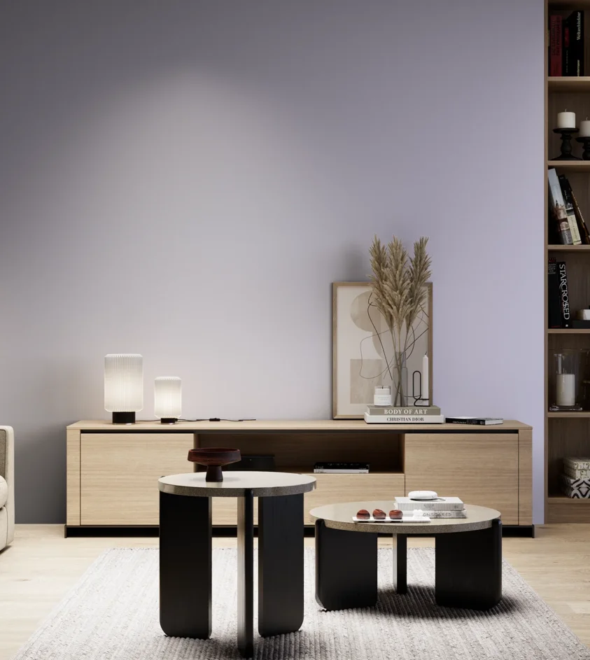 P10_SNIEZKA_salon_05_zimne_GREY_S1020-R60B