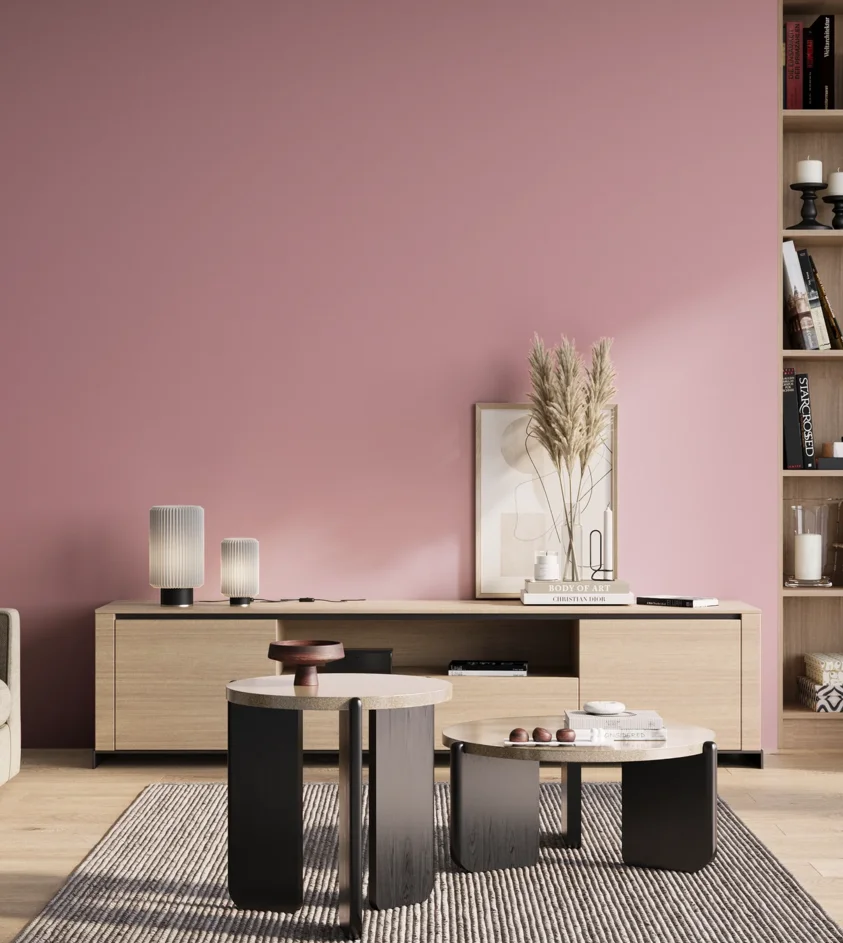 P10_SNIEZKA_salon_01_poranek_GREY_S1030-R20B