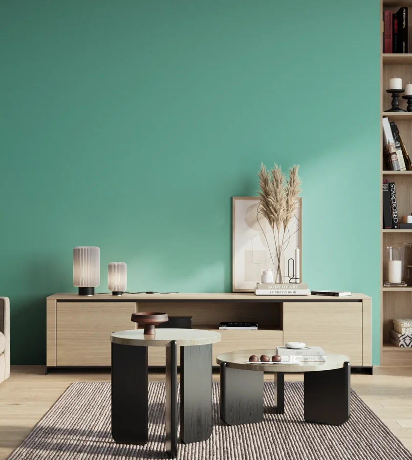 P10_SNIEZKA_salon_01_poranek_GREY_S1040-B70G