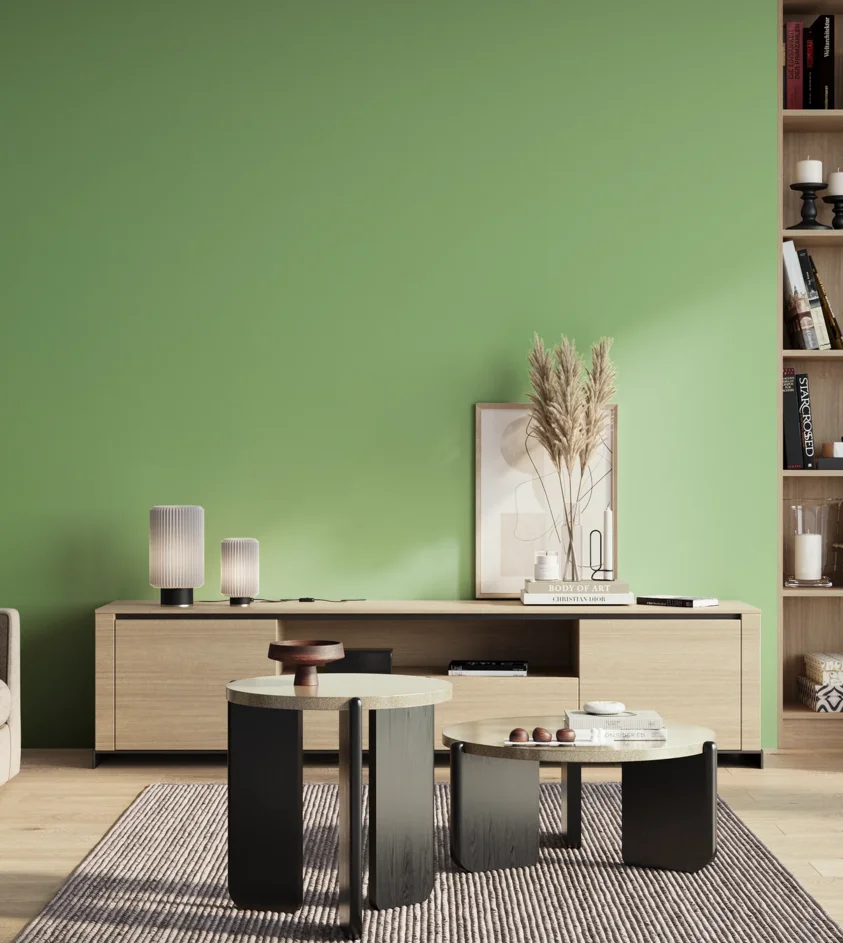 P10_SNIEZKA_salon_01_poranek_GREY_S1040-G20Y