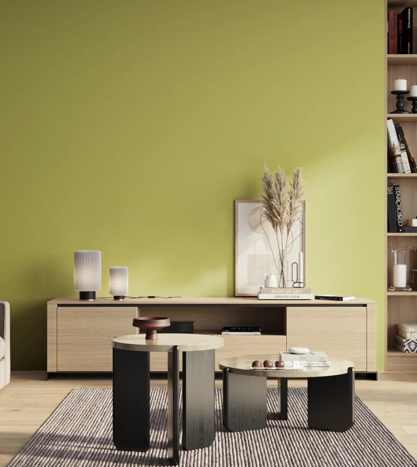 P10_SNIEZKA_salon_01_poranek_GREY_S1040-G70Y