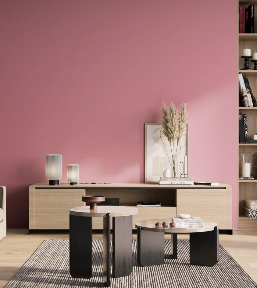 P10_SNIEZKA_salon_01_poranek_GREY_S1040-R20B