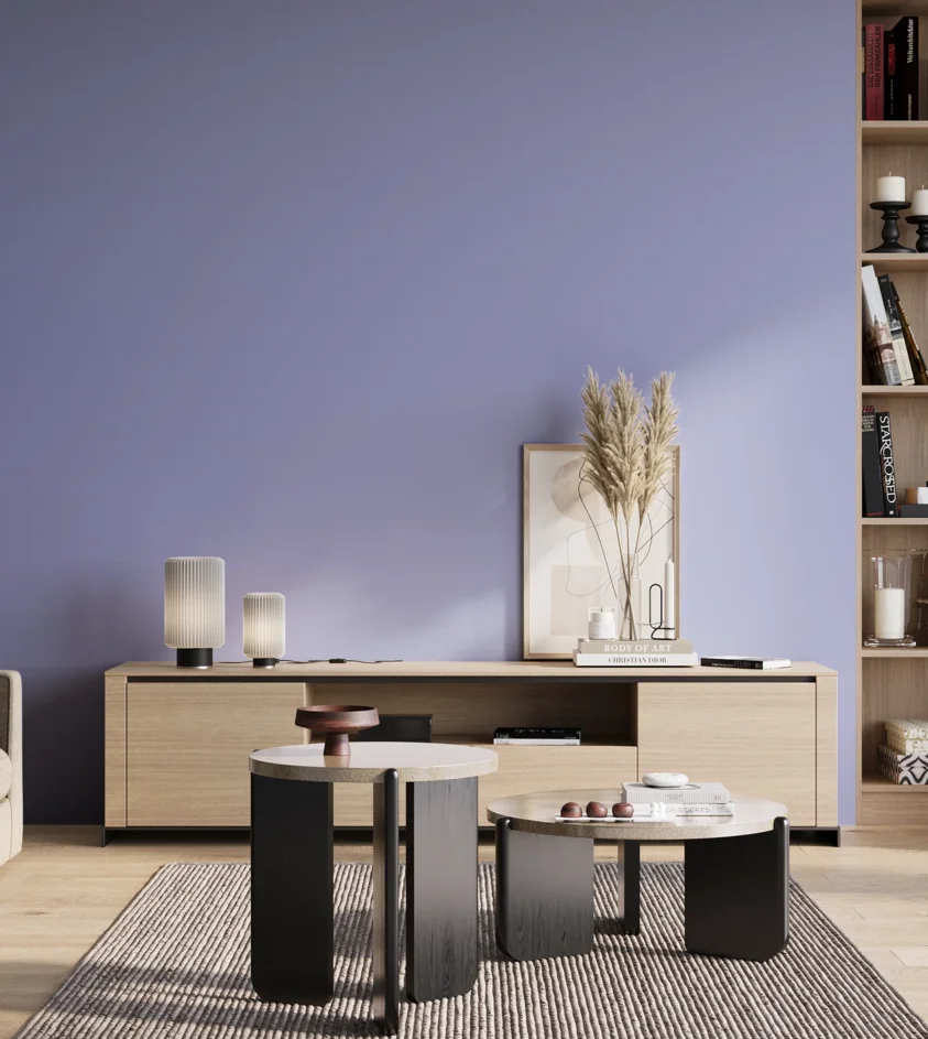 P10_SNIEZKA_salon_01_poranek_GREY_S1040-R70B