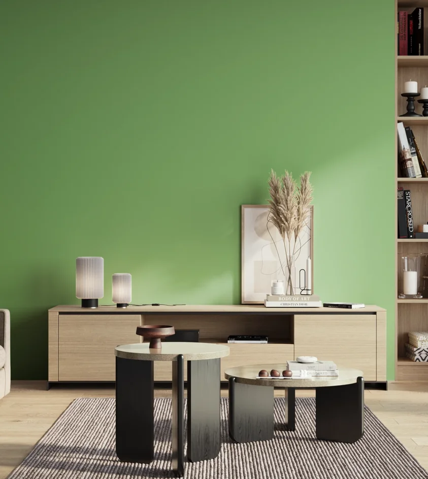 P10_SNIEZKA_salon_01_poranek_GREY_S1050-G20Y