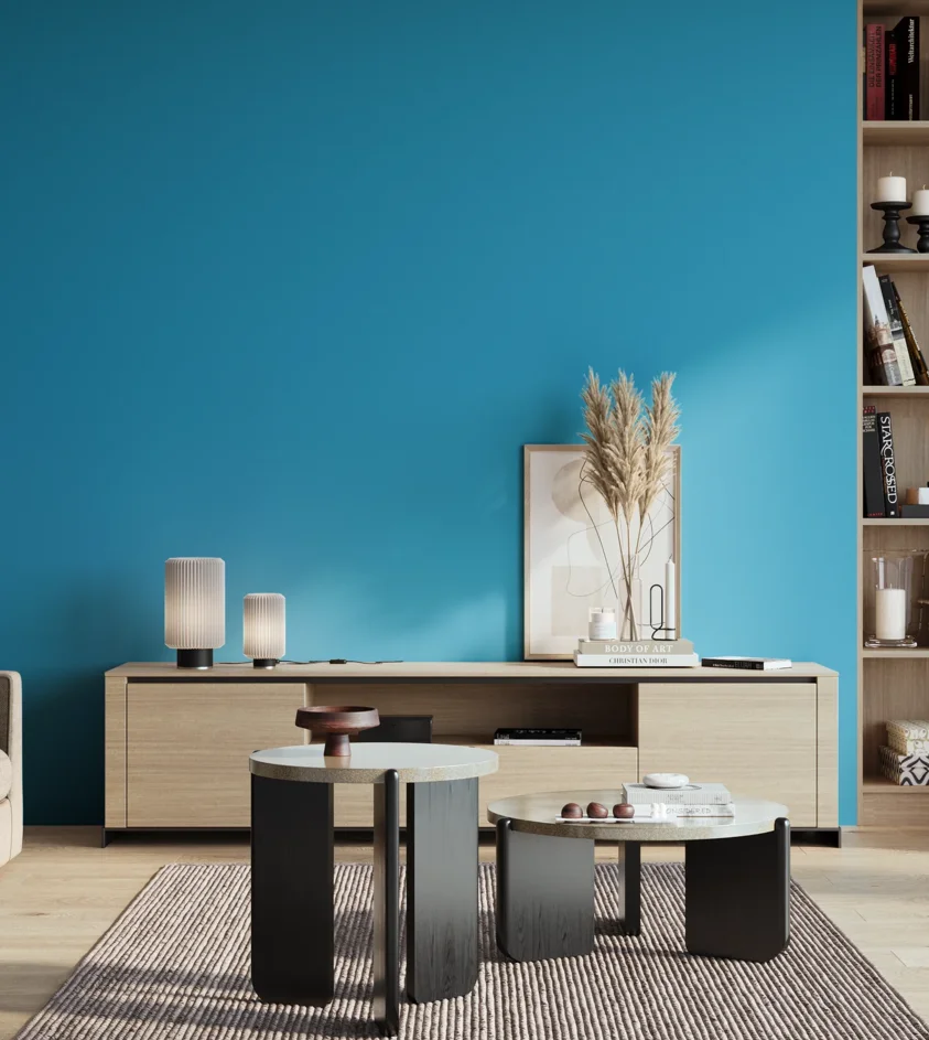P10_SNIEZKA_salon_01_poranek_GREY_S1060-B