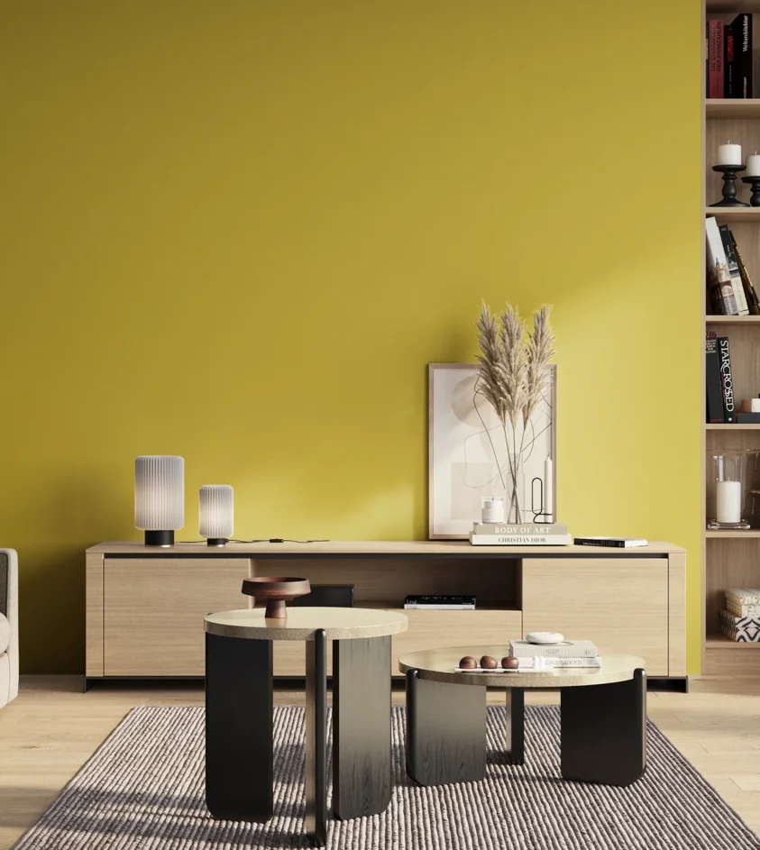 P10_SNIEZKA_salon_01_poranek_GREY_S1060-G90Y