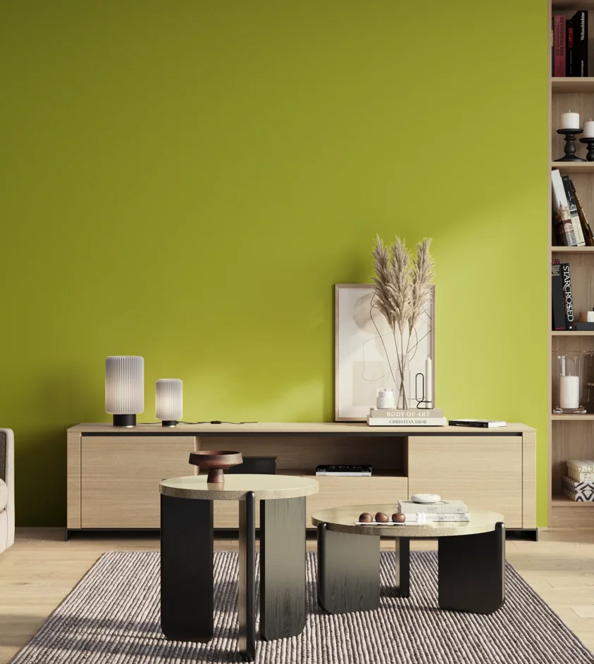 P10_SNIEZKA_salon_01_poranek_GREY_S1070-G60Y