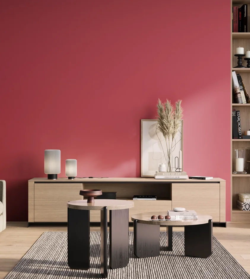P10_SNIEZKA_salon_01_poranek_GREY_S1070-R10B
