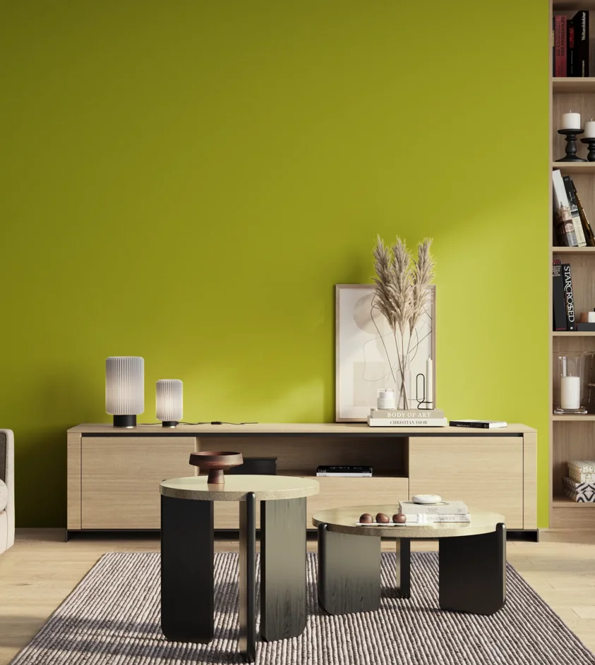 P10_SNIEZKA_salon_01_poranek_GREY_S1075-G60Y