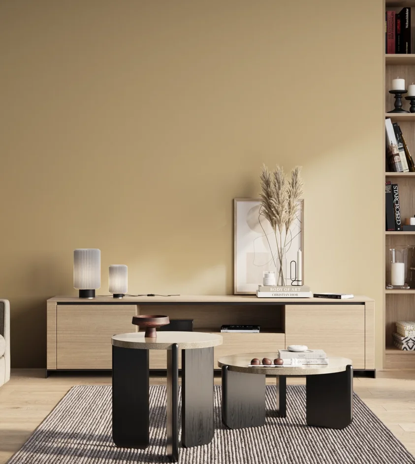 P10_SNIEZKA_salon_01_poranek_GREY_S1515-Y20R