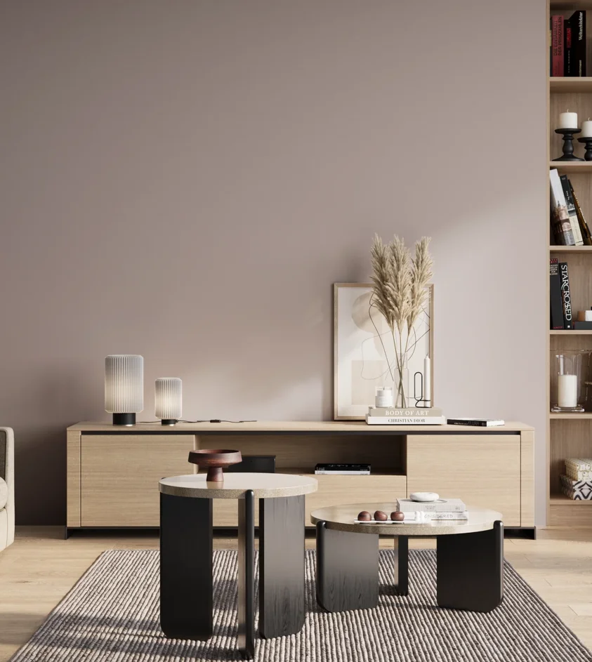 P10_SNIEZKA_salon_01_poranek_GREY_S2005-R20B