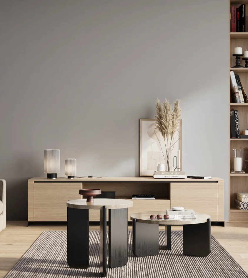P10_SNIEZKA_salon_01_poranek_GREY_S2005-R70B
