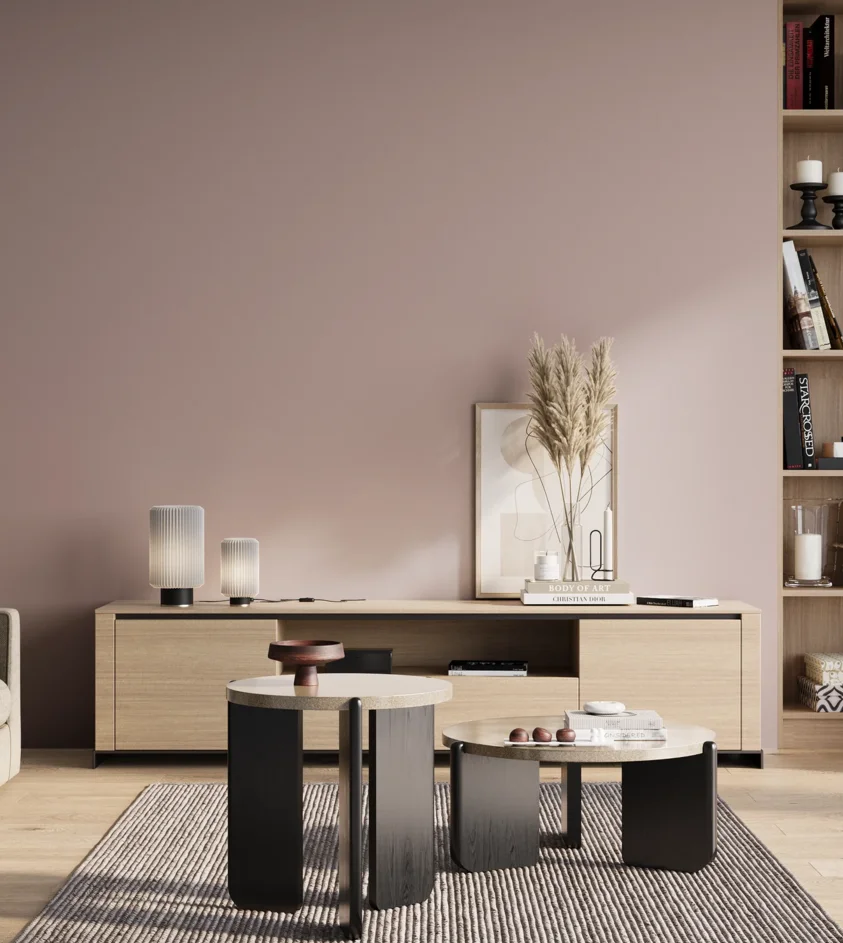 P10_SNIEZKA_salon_01_poranek_GREY_S2010-R10B