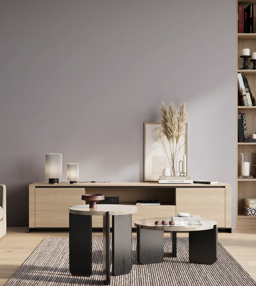 P10_SNIEZKA_salon_01_poranek_GREY_S2010-R60B