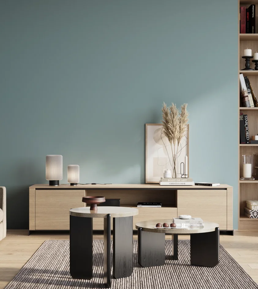 P10_SNIEZKA_salon_01_poranek_GREY_S2020-B10G
