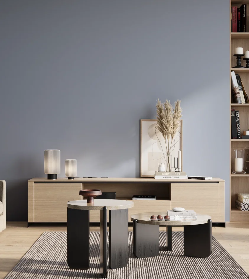 P10_SNIEZKA_salon_01_poranek_GREY_S2020-R80B