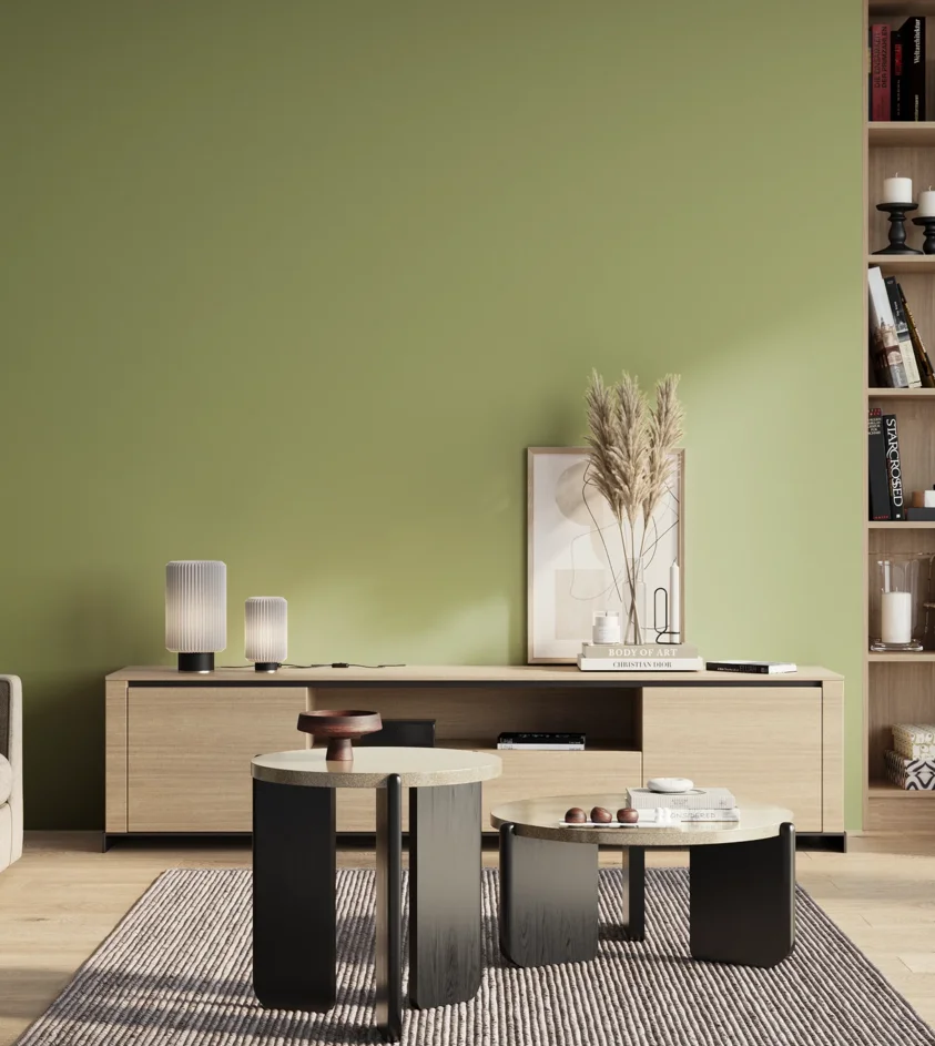 P10_SNIEZKA_salon_01_poranek_GREY_S2030-G50Y