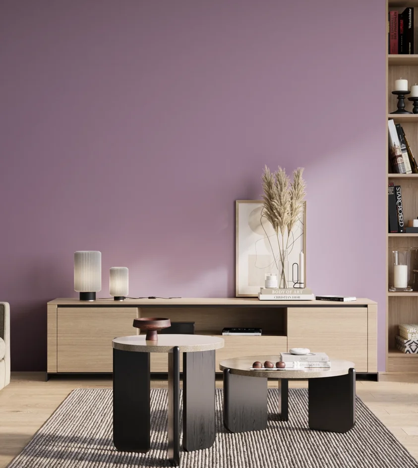 P10_SNIEZKA_salon_01_poranek_GREY_S2030-R50B