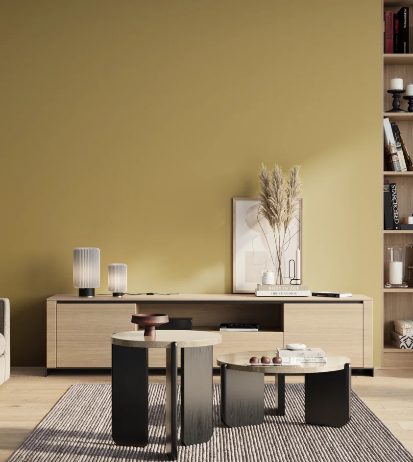 P10_SNIEZKA_salon_01_poranek_GREY_S2030-Y