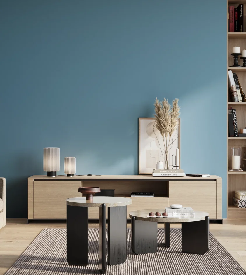 P10_SNIEZKA_salon_01_poranek_GREY_S2040-B