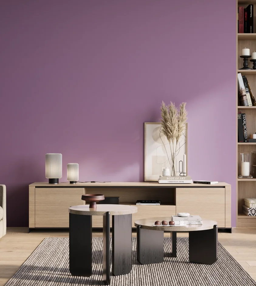 P10_SNIEZKA_salon_01_poranek_GREY_S2040-R50B