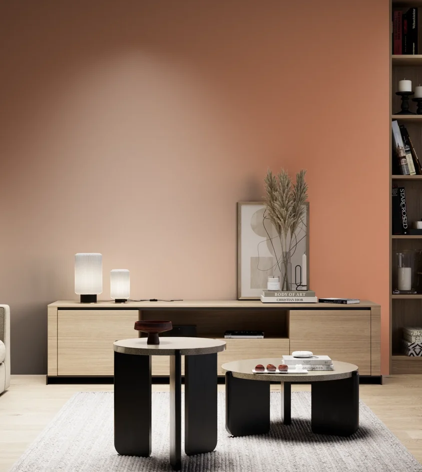 P10_SNIEZKA_salon_05_zimne_GREY_S2040-Y60R
