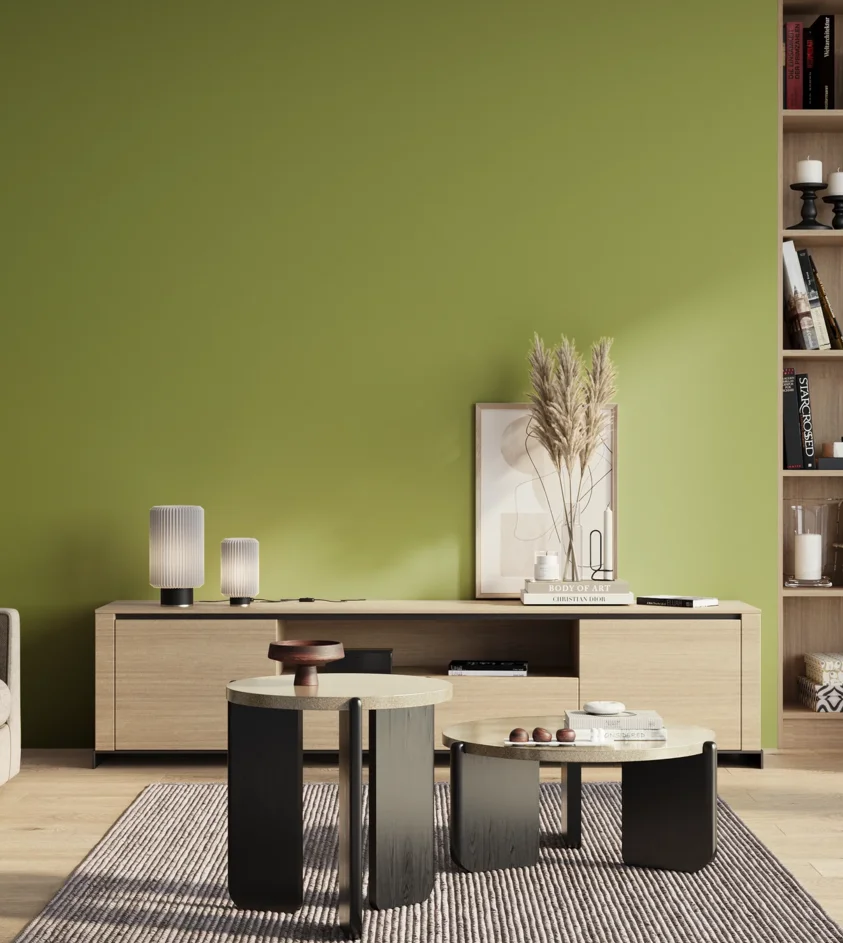 P10_SNIEZKA_salon_01_poranek_GREY_S2050-G50Y