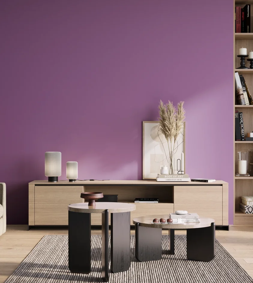 P10_SNIEZKA_salon_01_poranek_GREY_S2050-R50B