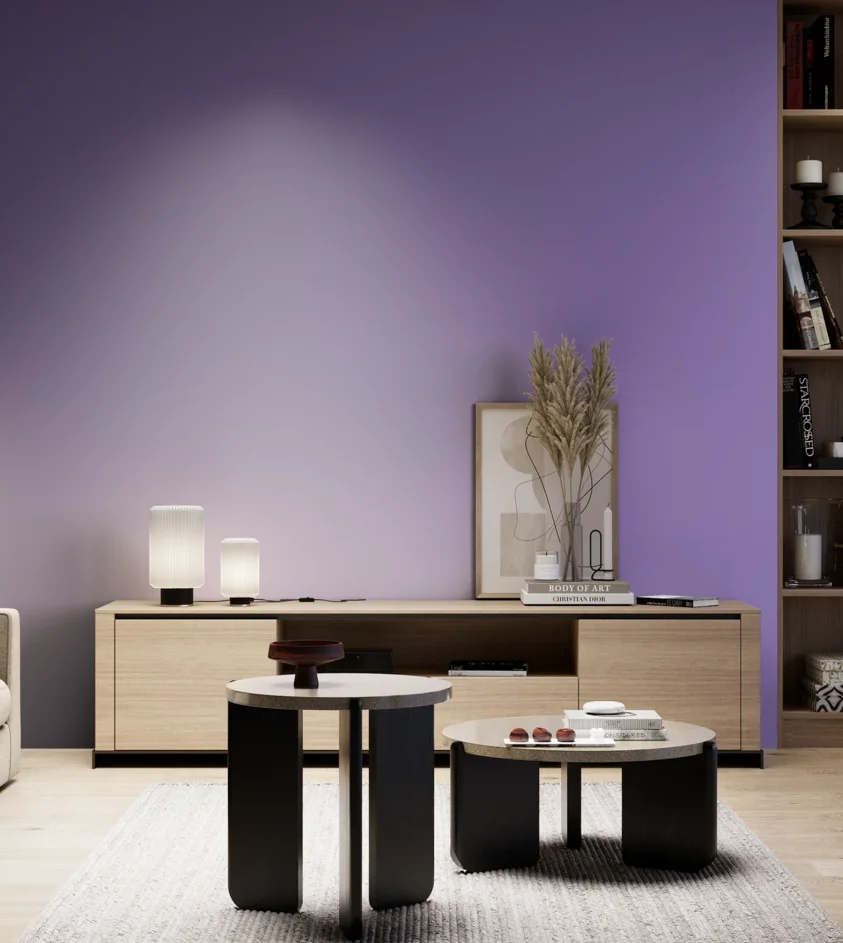P10_SNIEZKA_salon_05_zimne_GREY_S2050-R60B